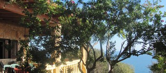 Foresta Forte by LoveSud