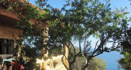 Foresta Forte by LoveSud