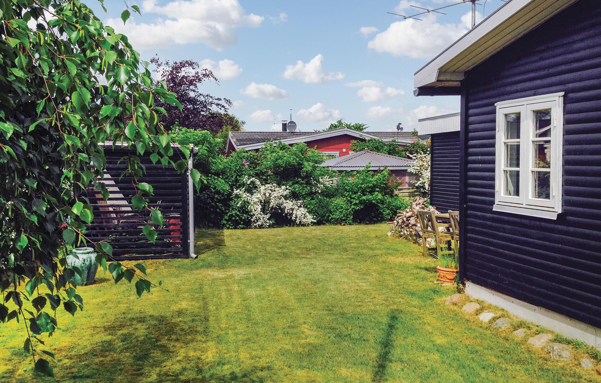 A backyard with a lawn, a wooden fence, and a house with a window.