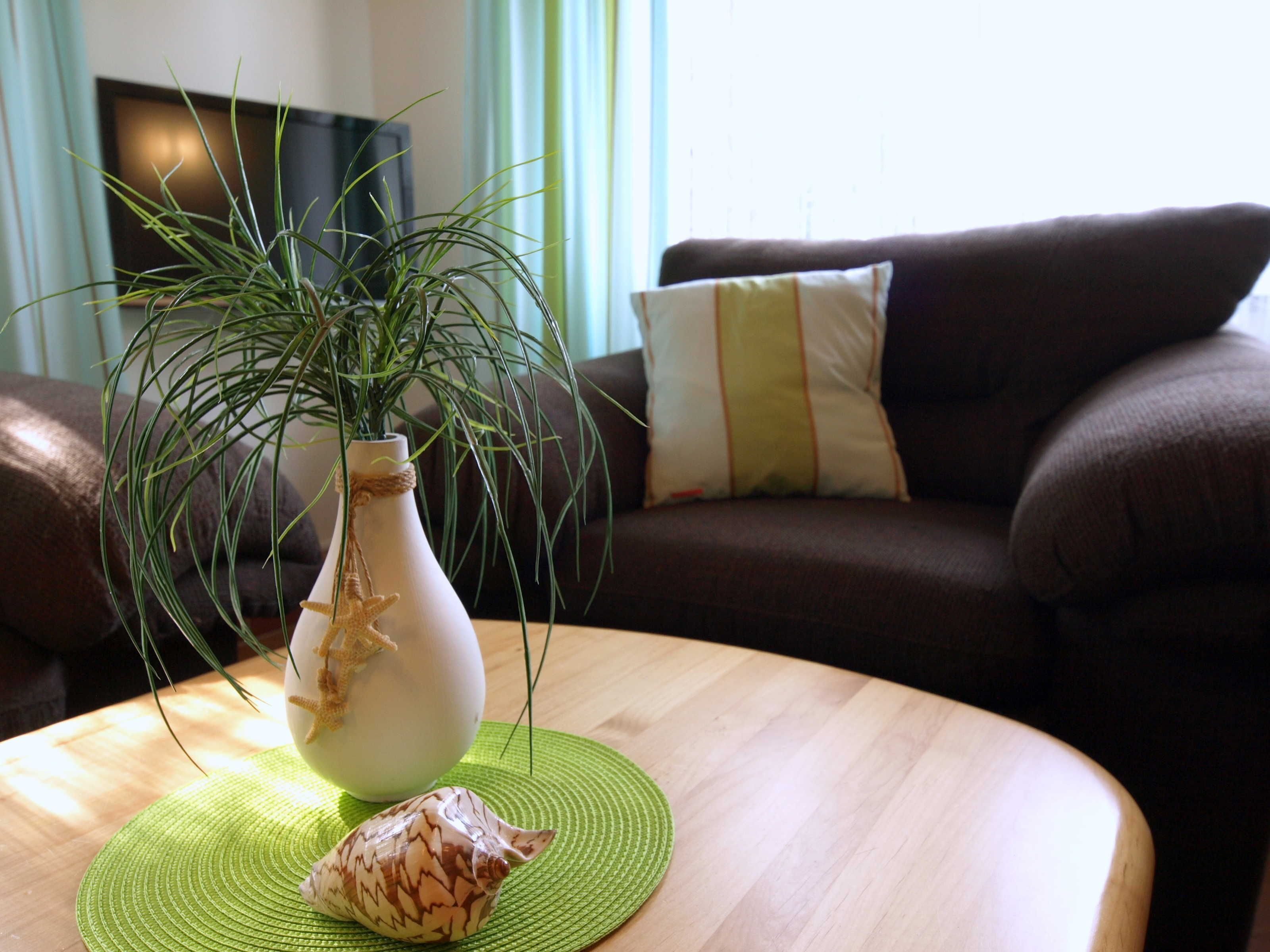 A living room with a round wooden coffee table, a white vase with a plant, and a decorative seashell.
