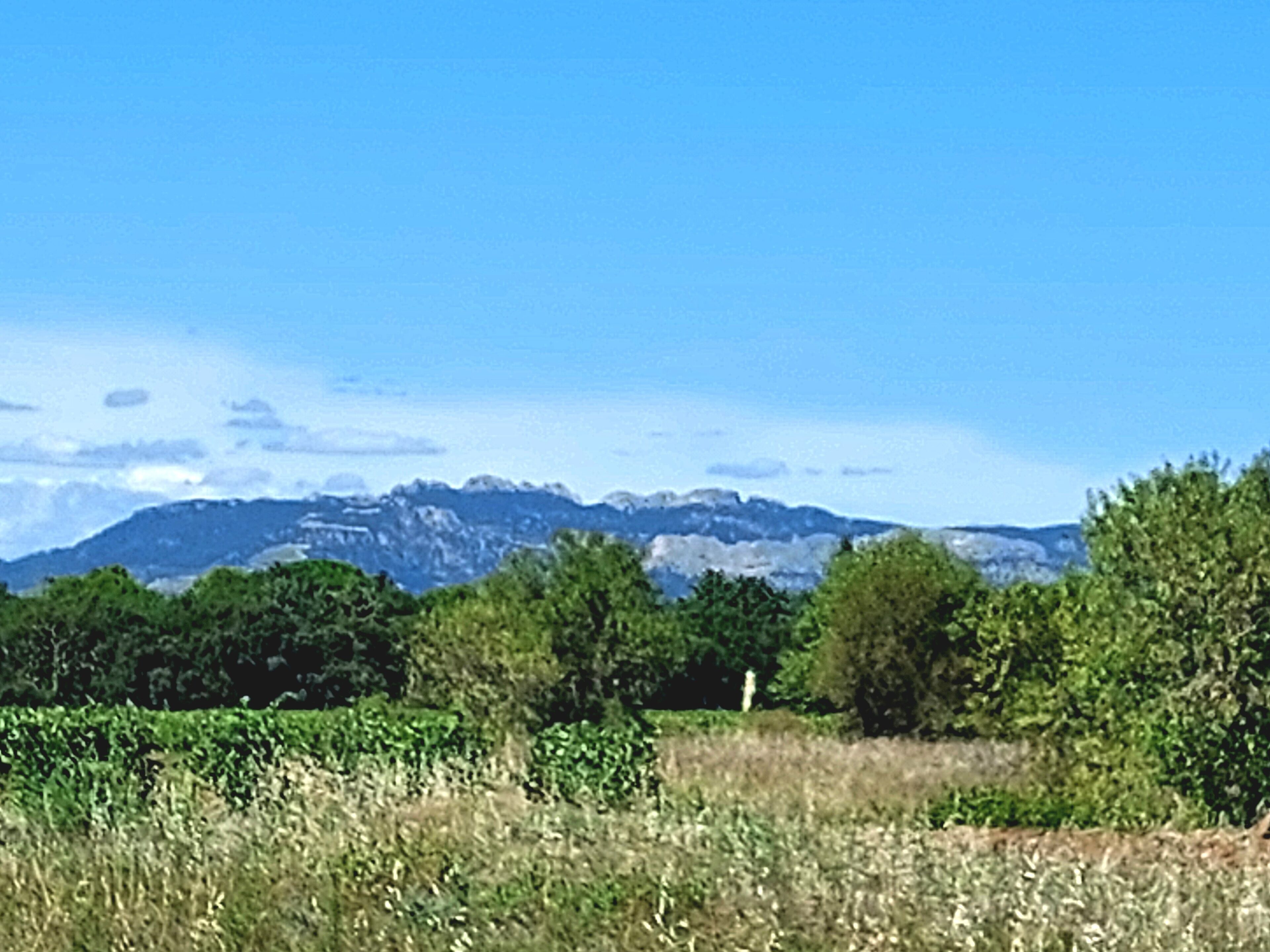 A mountainous landscape with dense green foliage and a clear blue sky.