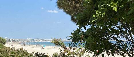 Plage, chaises longues