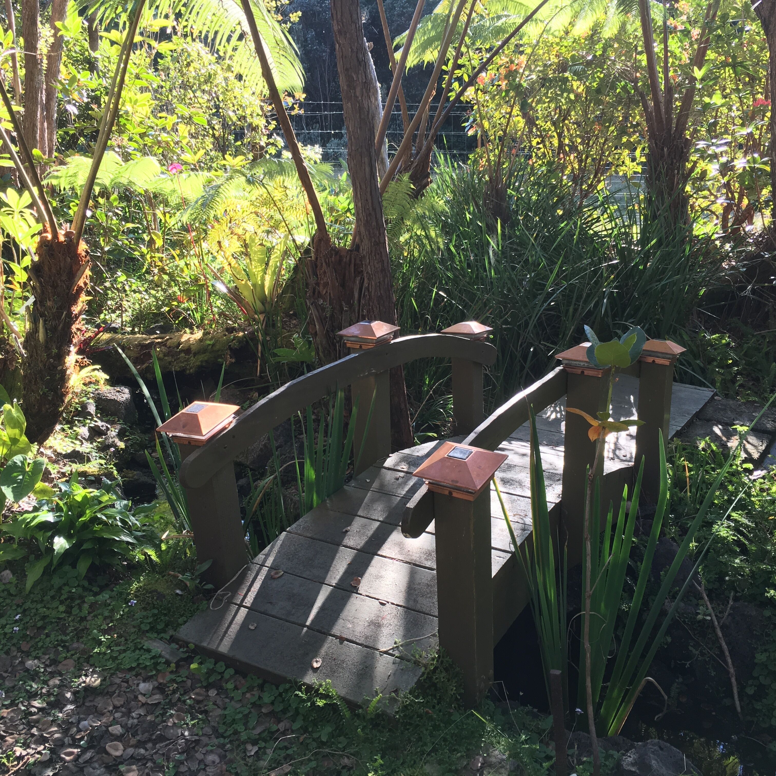 A wooden bridge in a garden with dense foliage and trees.
