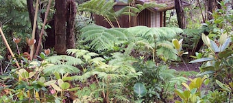 The Inn at Kimalia -One Mile from National Park