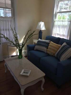 Televisio, DVD-soitin