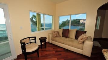 TV, DVD player, books, stereo