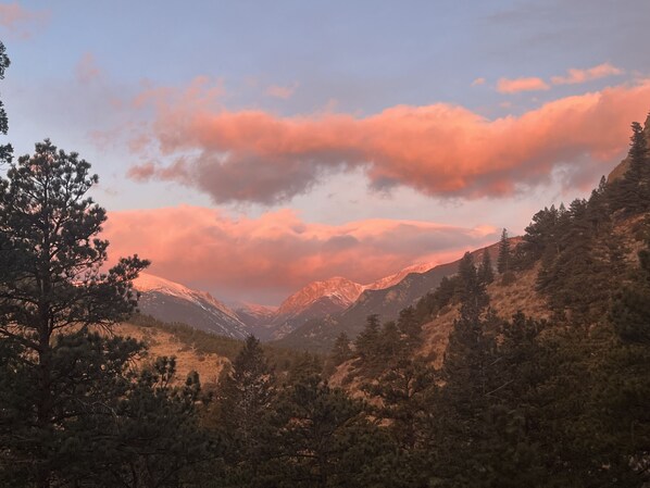A mountainous landscape with dense forest and snow-capped peaks.