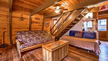 TV connectée, cheminée, lecteur de DVD, livres