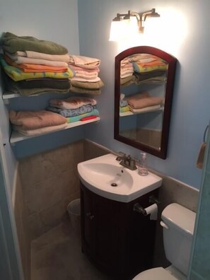 Shower, hair dryer, towels