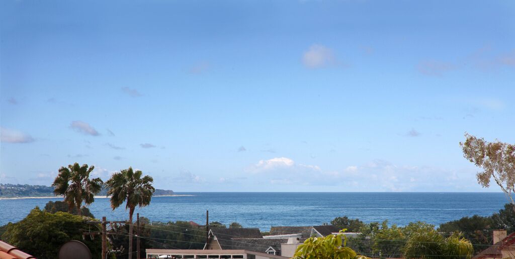 A coastal view with palm trees and a clear sky.