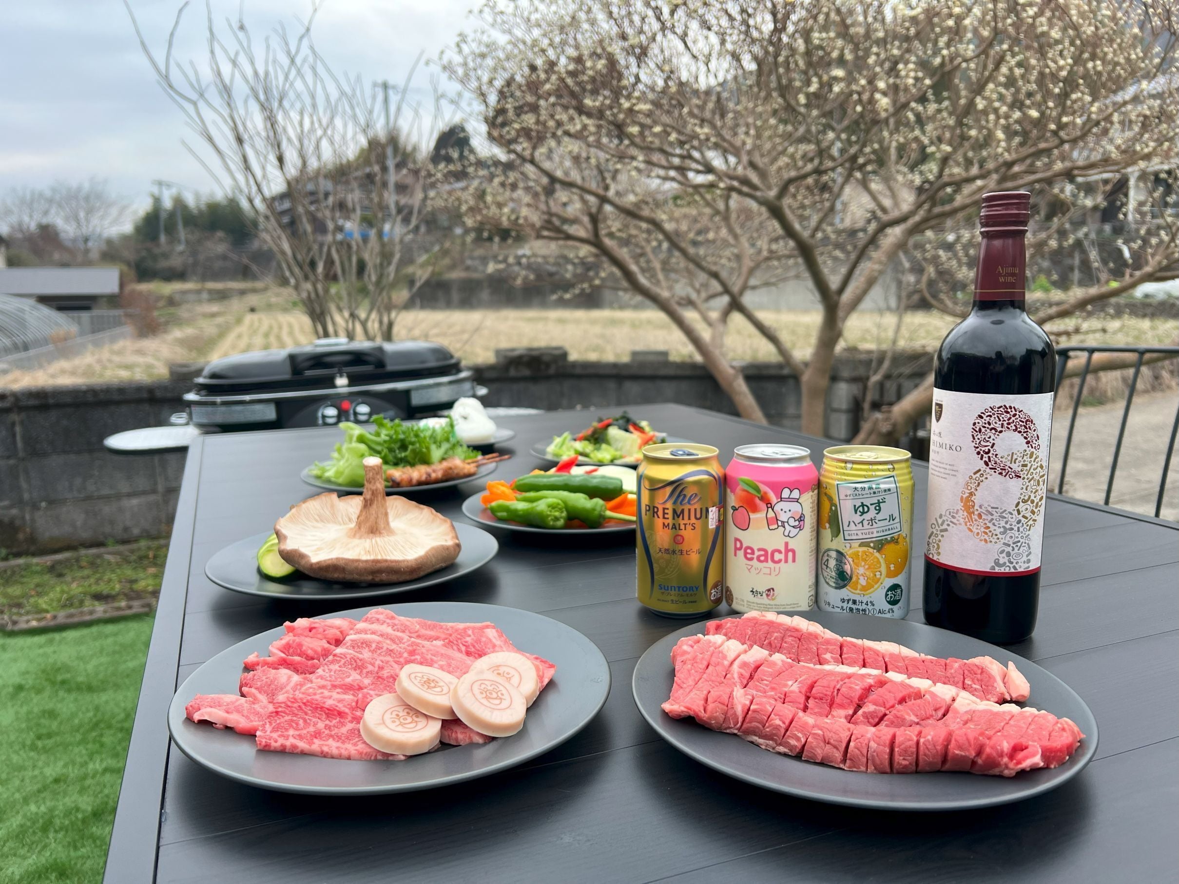 Basic-Haus | Terrasse/Patio