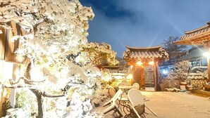 星評価なしの画像、5 / 75、ボ  タン