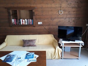 A living room with a sofa, a coffee table with brochures, a TV on a stand, and a bookshelf against a wooden wall. - Double Room (Type A) - Greber Christine - Frühstückspension Fernblick (Schoppernau)