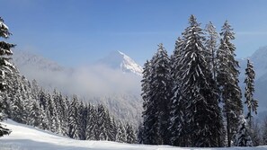 A snowy mountain landscape with dense evergreen trees and a clear sky. - Double room new max 2P (type A) (copy) Z-NR. 5 - Greber Christine - (Schoppernau)