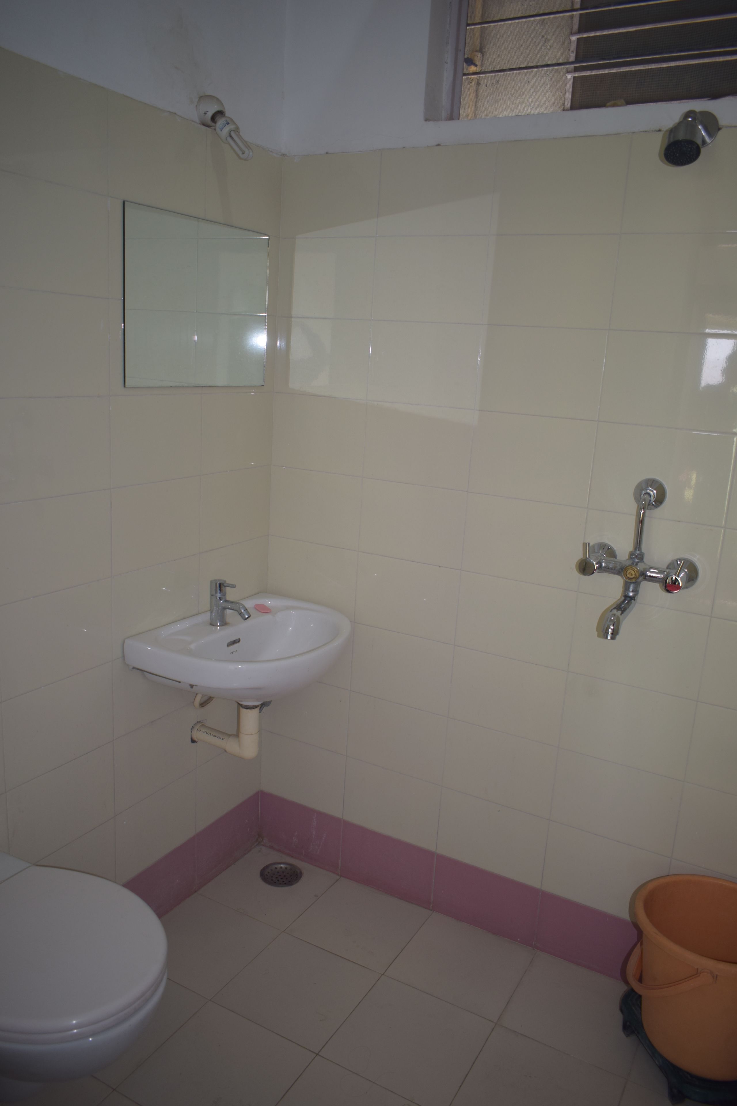 A bathroom with a white sink, a toilet, and a shower.