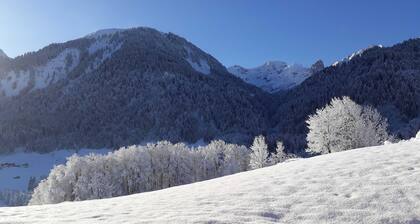 Double room max. 2P - Greber Christine - FrĂŒhstĂŒckspension Fernblick