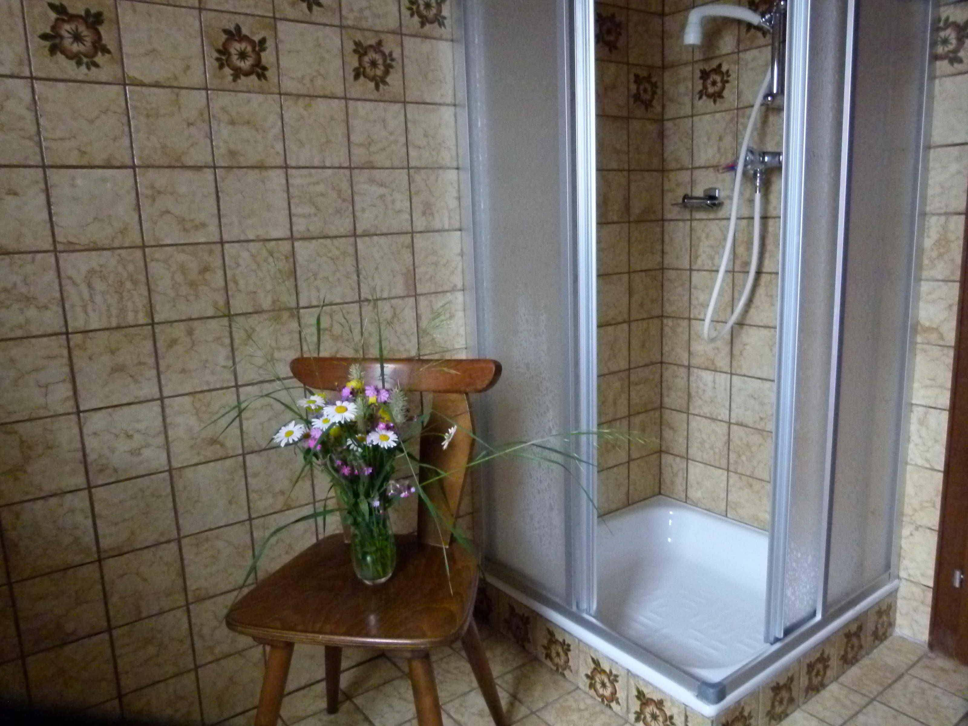 Un espace douche équipé d’une chaise et d’un vase de fleurs.