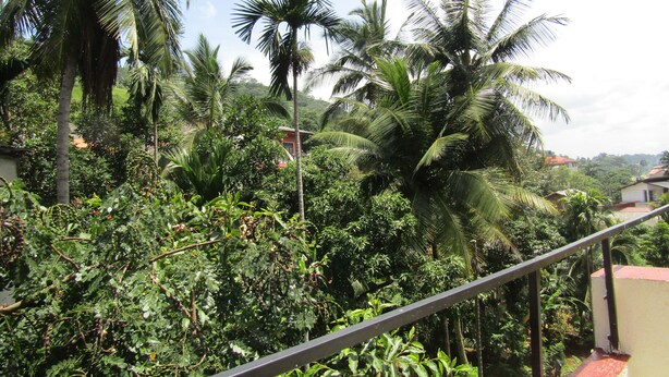 Quang cảnh nhìn từ nơi lưu trú