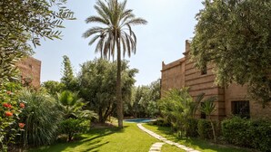 Ein Innenhof mit Pool, Palmen und einem Weg zu einem Gebäude.
