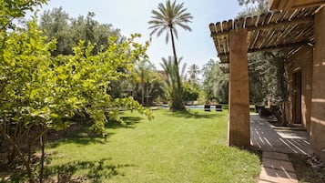 Relax in a serene outdoor oasis with lush greenery, a palm tree, and a shaded pergola.