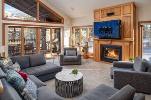 TV, fireplace, video games, DVD player