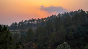 Unclassified image, 5 of 22, button - V Resorts Royal Homestay Jhimar (Bhikyasain)