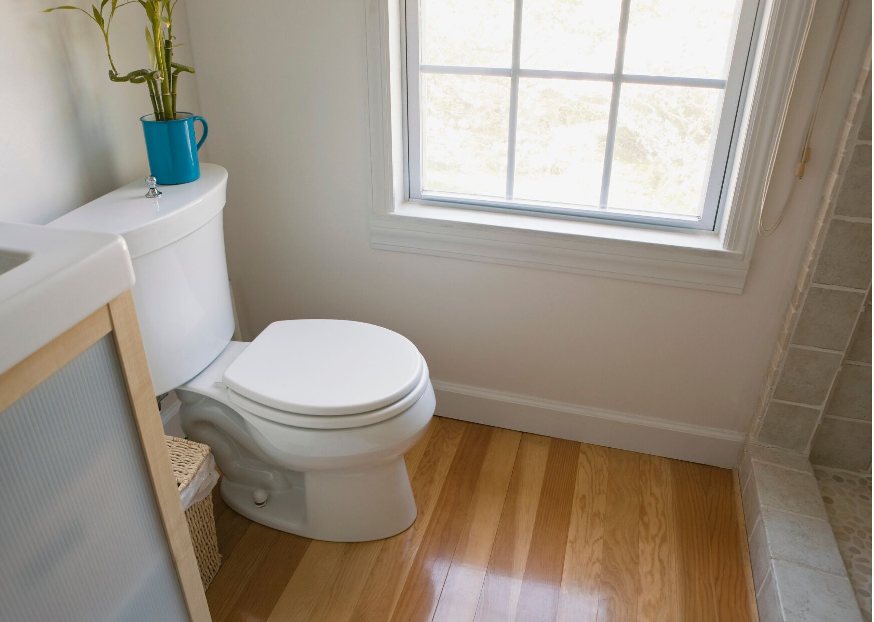 family room ac | bathroom | shower, rainfall showerhead, free toiletries, bathrobes