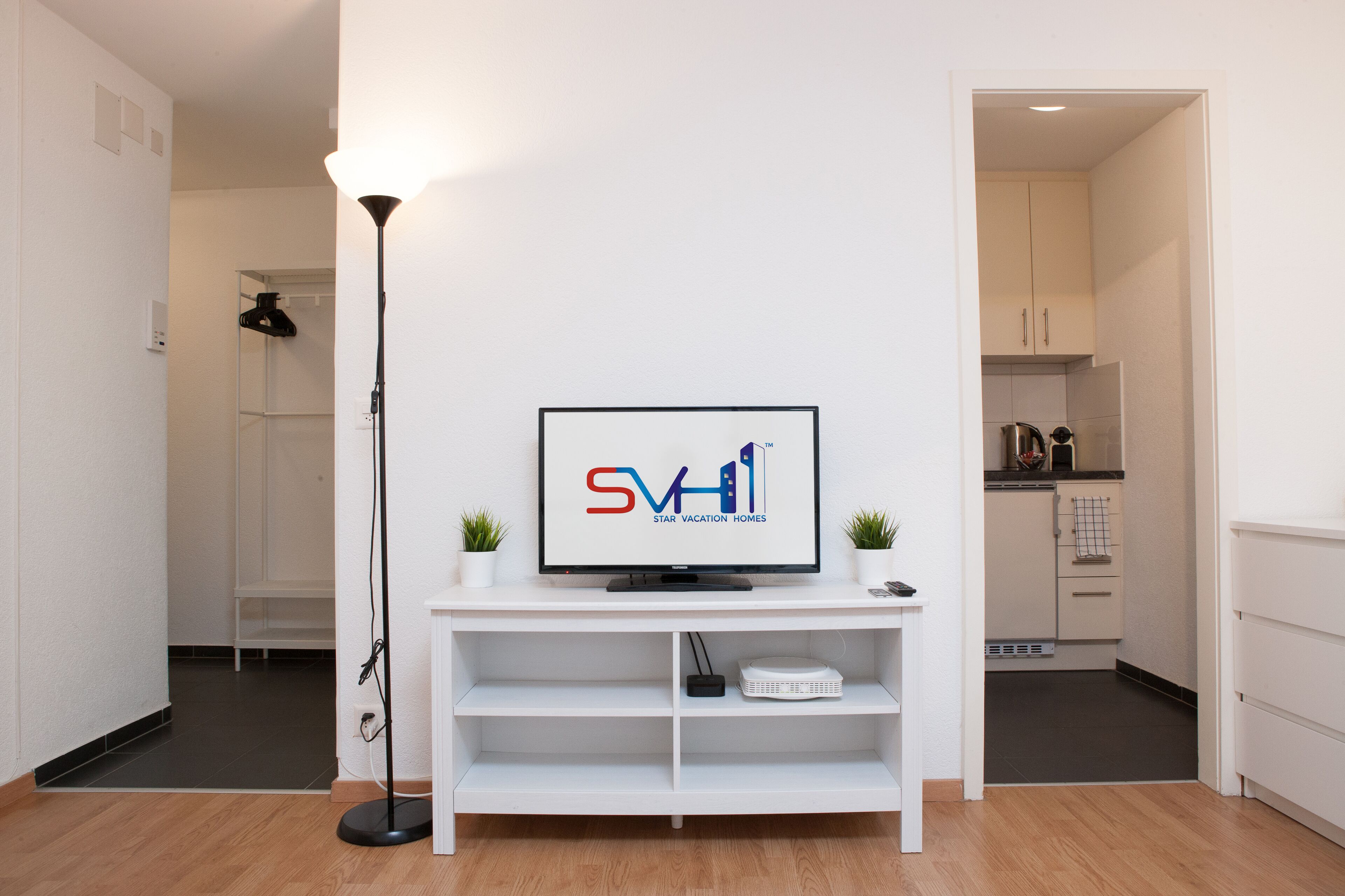 A modern living room with a flat-screen TV on a white stand, a floor lamp, and a small plant on either side.