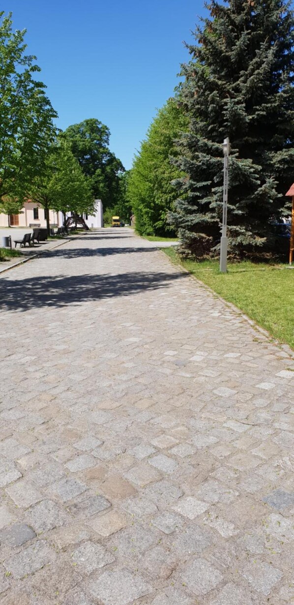 A paved pathway lined with trees and benches, leading to a building with a white facade. - Ostsee Radlerpension Peitz (Peitz)