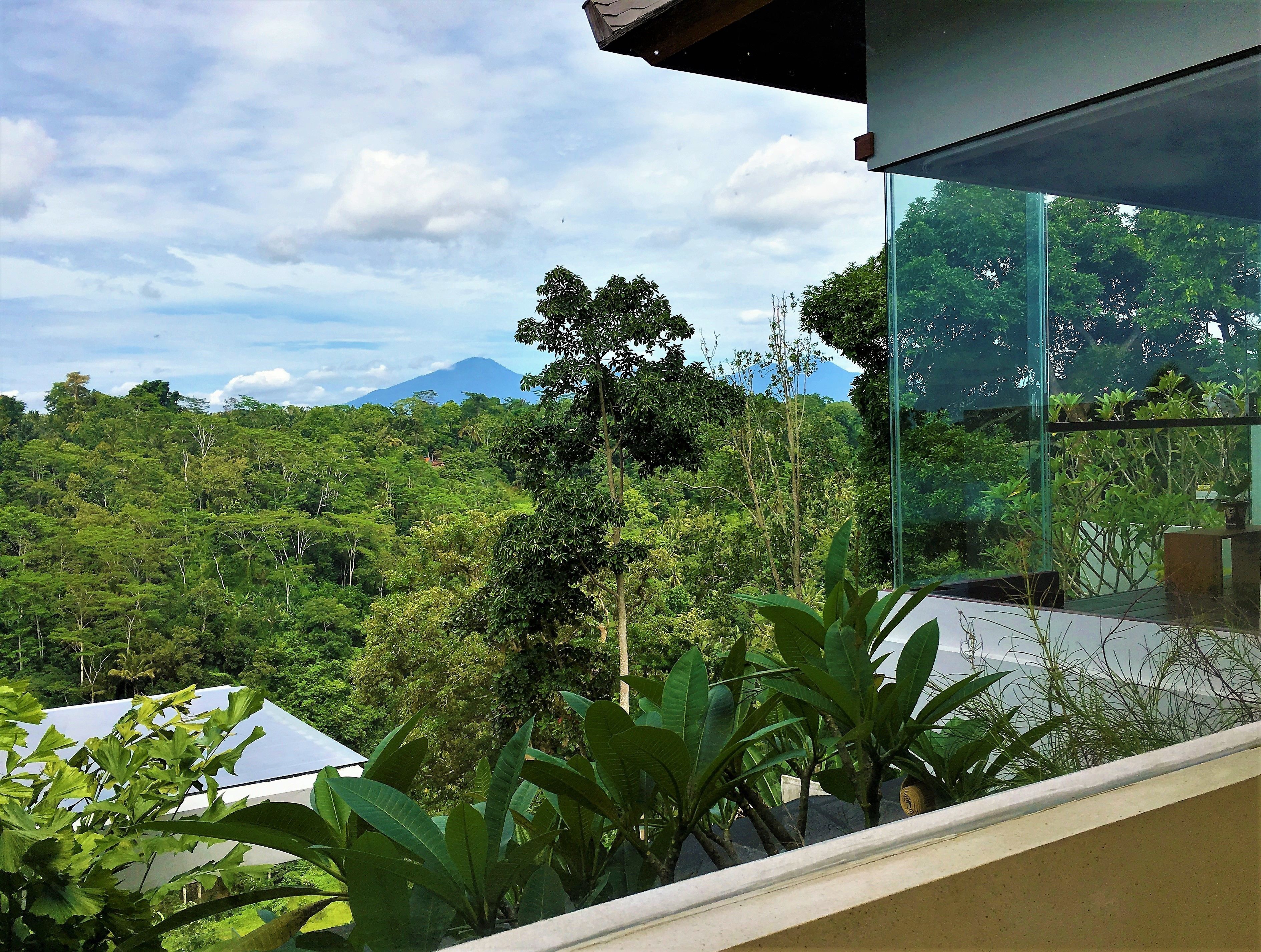 Royal Villa, 1 Bedroom | View from room