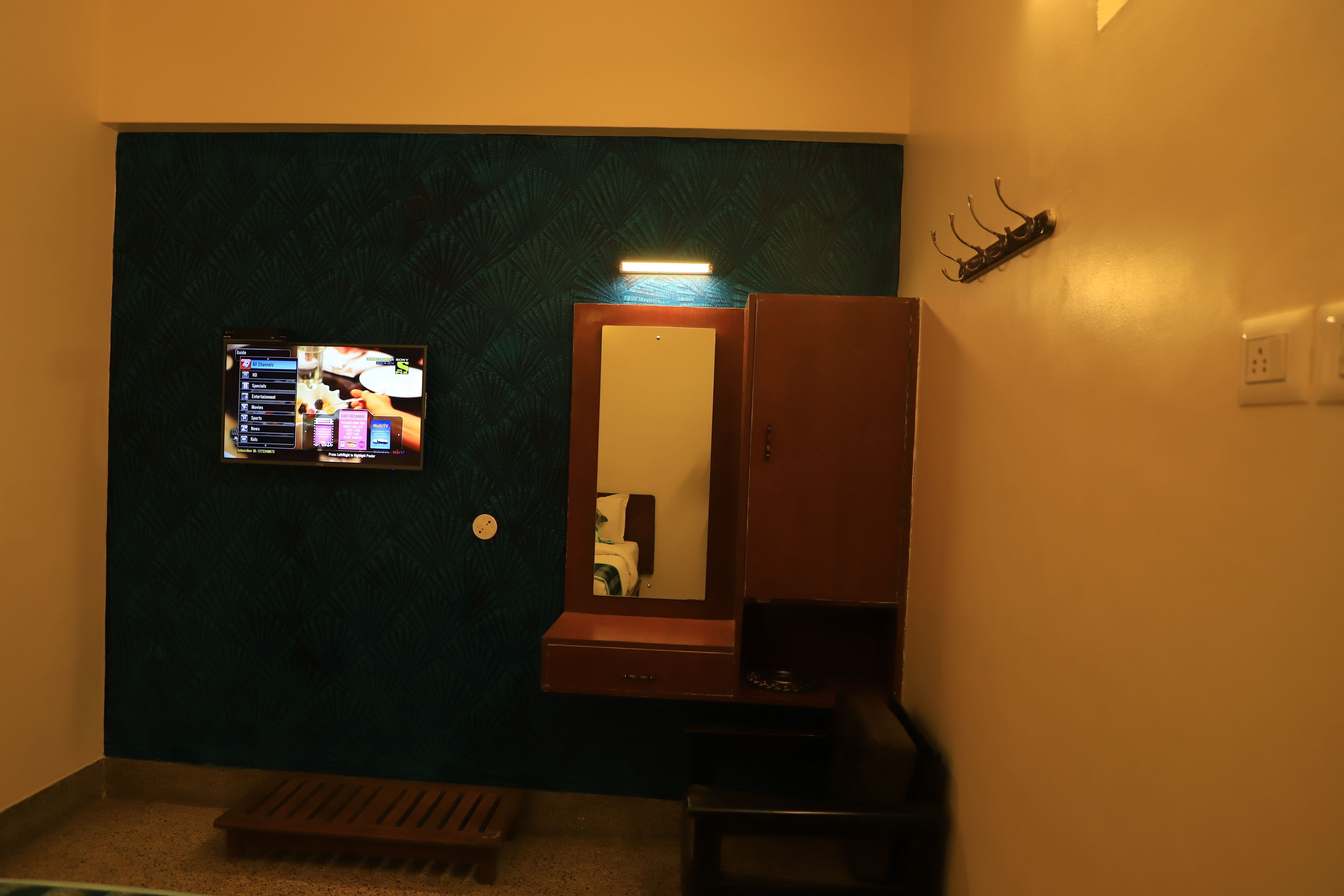 电视