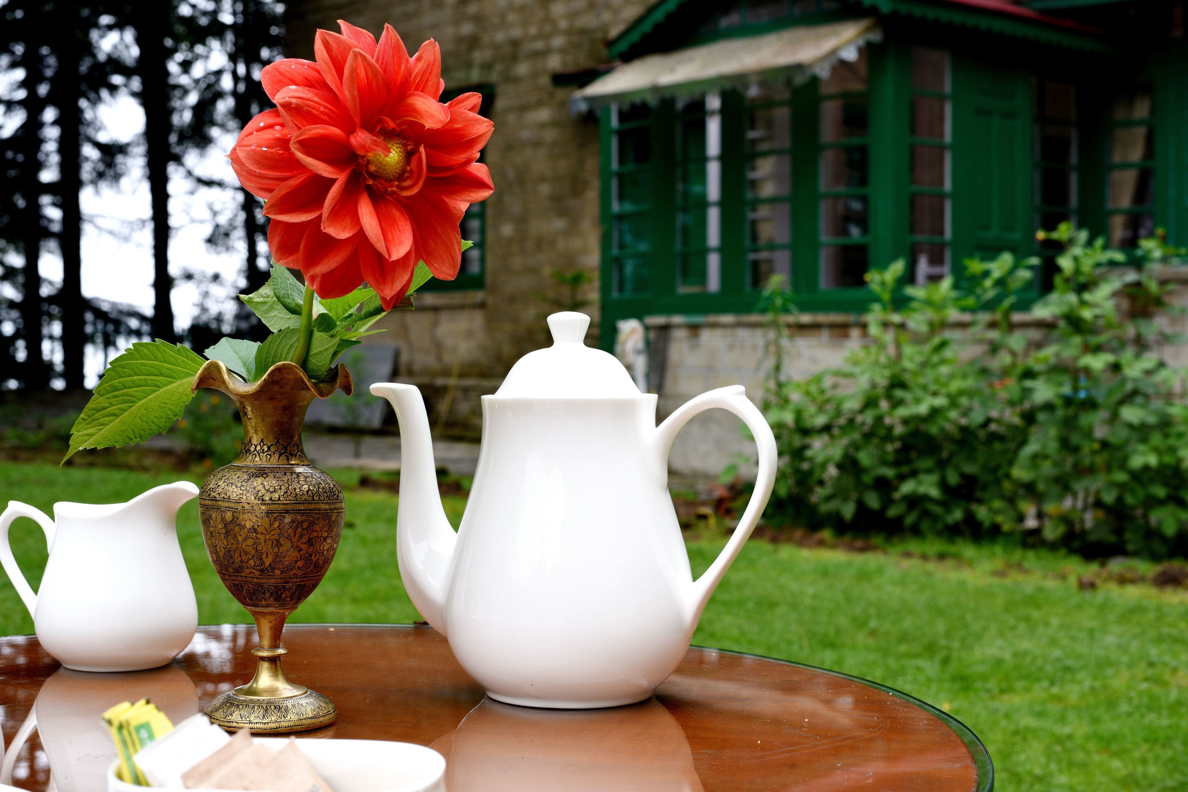 Uma mesa com um jarro branco, uma chaleira branca e um vaso com uma flor vermelha.