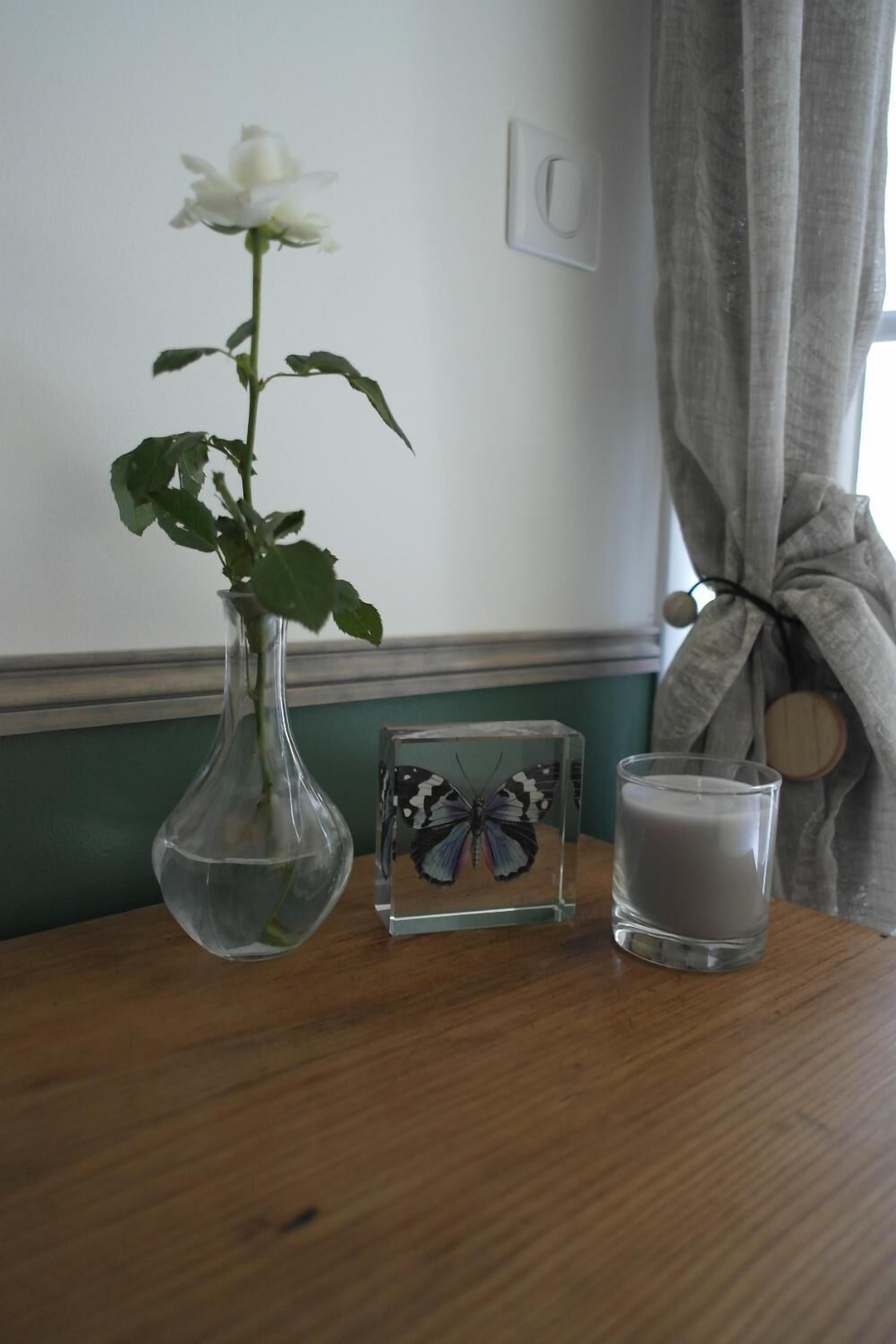 A white rose in a clear vase on a wooden table, a framed butterfly, and a candle.