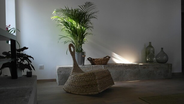 A room with a concrete bench, a woven basket, a potted plant, and two glass bottles on a shelf. - Les chambres de Filou (Montesquieu)