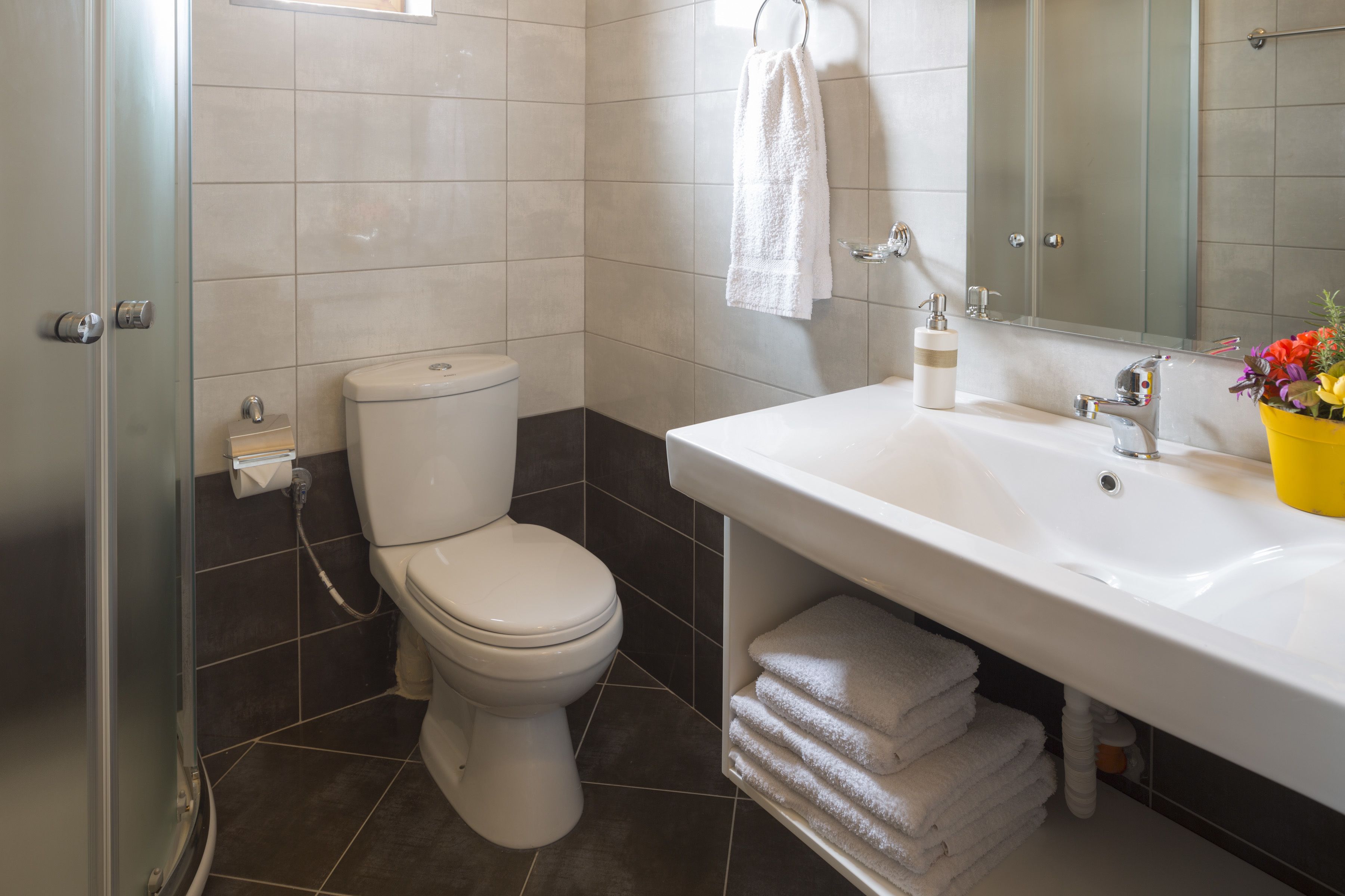 Un baño con inodoro, lavabo y espejo.