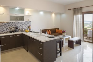 Apartamento, 1 habitación, balcón, vistas a la colina | Escritorio, espacio para trabajar con un portátil, wifi gratis