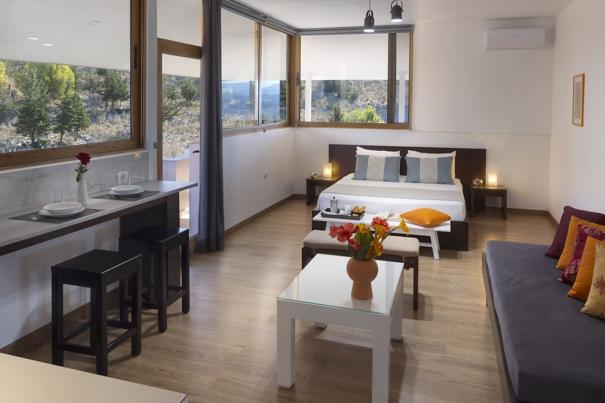 Studio, vue montagne | 1 chambre, bureau, espace de travail pour ordinateur portable