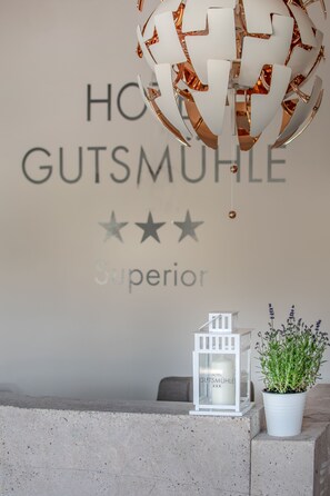 Reception - Hotel Gutsmühle (Obernburg)