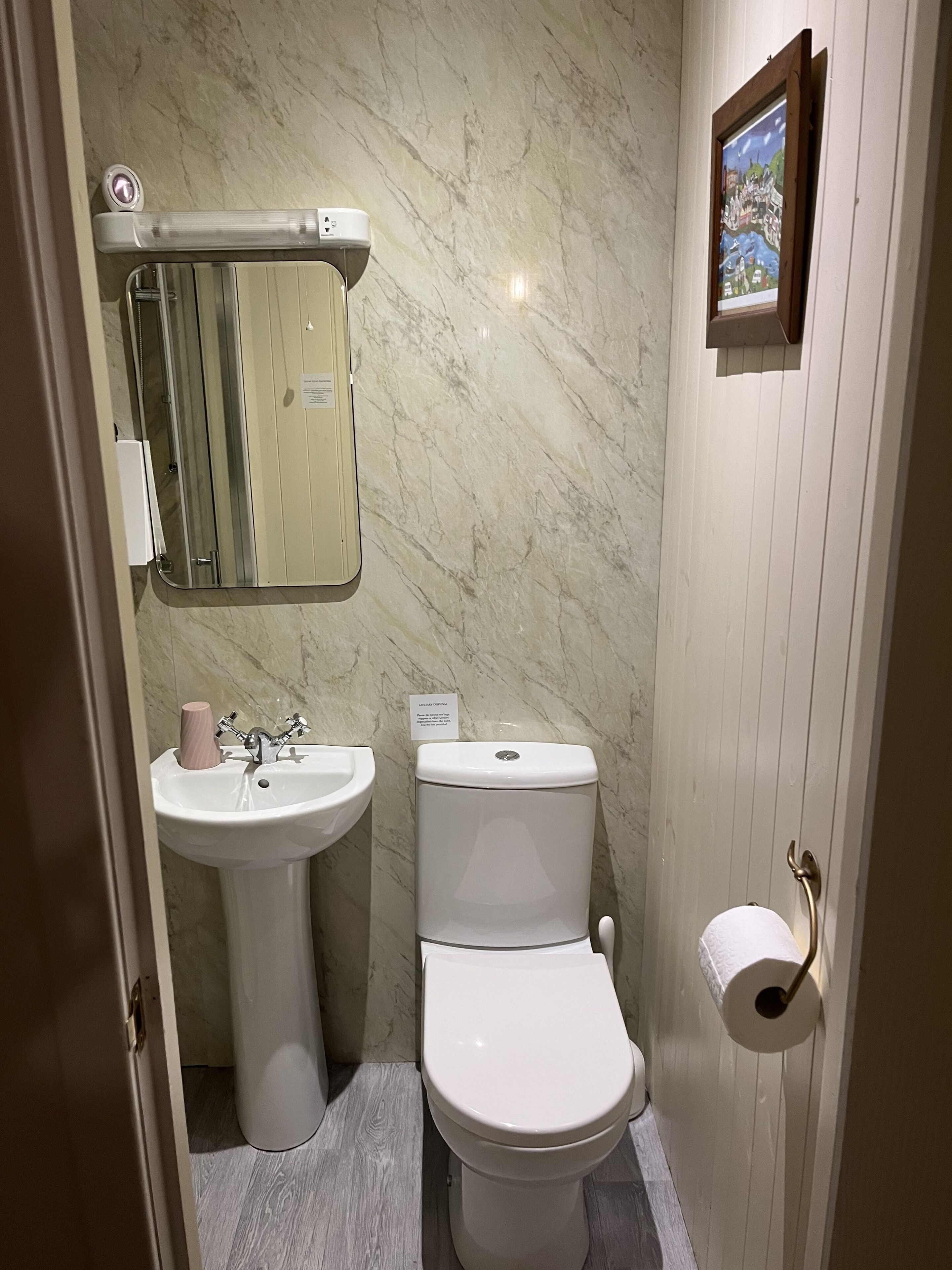 A bathroom with a toilet, sink, and a mirror above the sink.