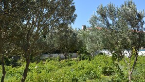 Jardín