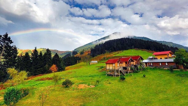 Un paysage rural avec un arc-en-ciel, des champs verdoyants et des maisons en bois aux toits rouges.