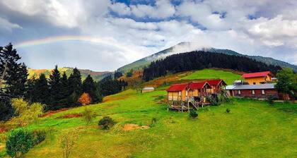 Pilav Dagi Yavuzyilmaz Tesisleri