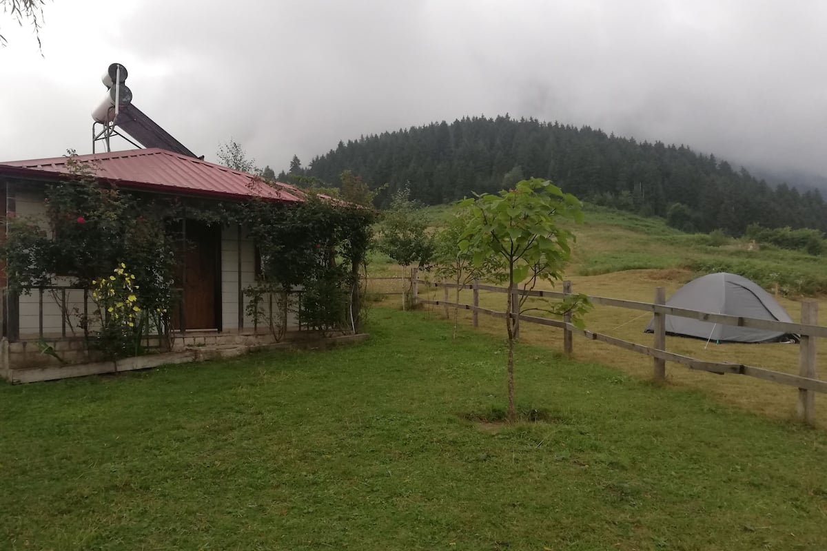 Căn hộ, 2 phòng ngủ (Large) | Phòng tắm | Buồng tắm vòi sen, máy sấy tóc