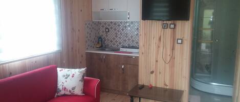Um espaço de estar compacto com um sofá vermelho, uma mesa pequena, área de cozinha com fogão a gás e box de chuveiro.
