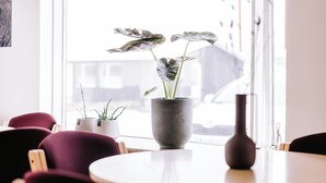 A modern interior with a round table, purple chairs, and potted plants. - Eldá Guesthouse (Myvatn)