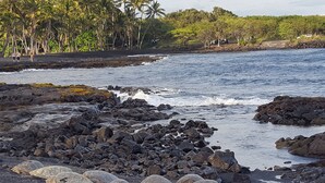 A rocky shoreline with sea turtles and palm trees in the background. - Big Private Mt. Home Minutes to Volcanos National Park
Myra's Blue Hawaii House  (Ocean View)