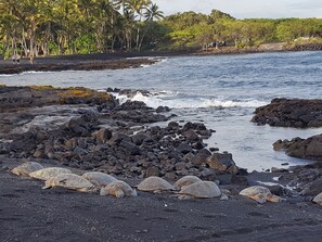 Solsenger og strandhåndklær