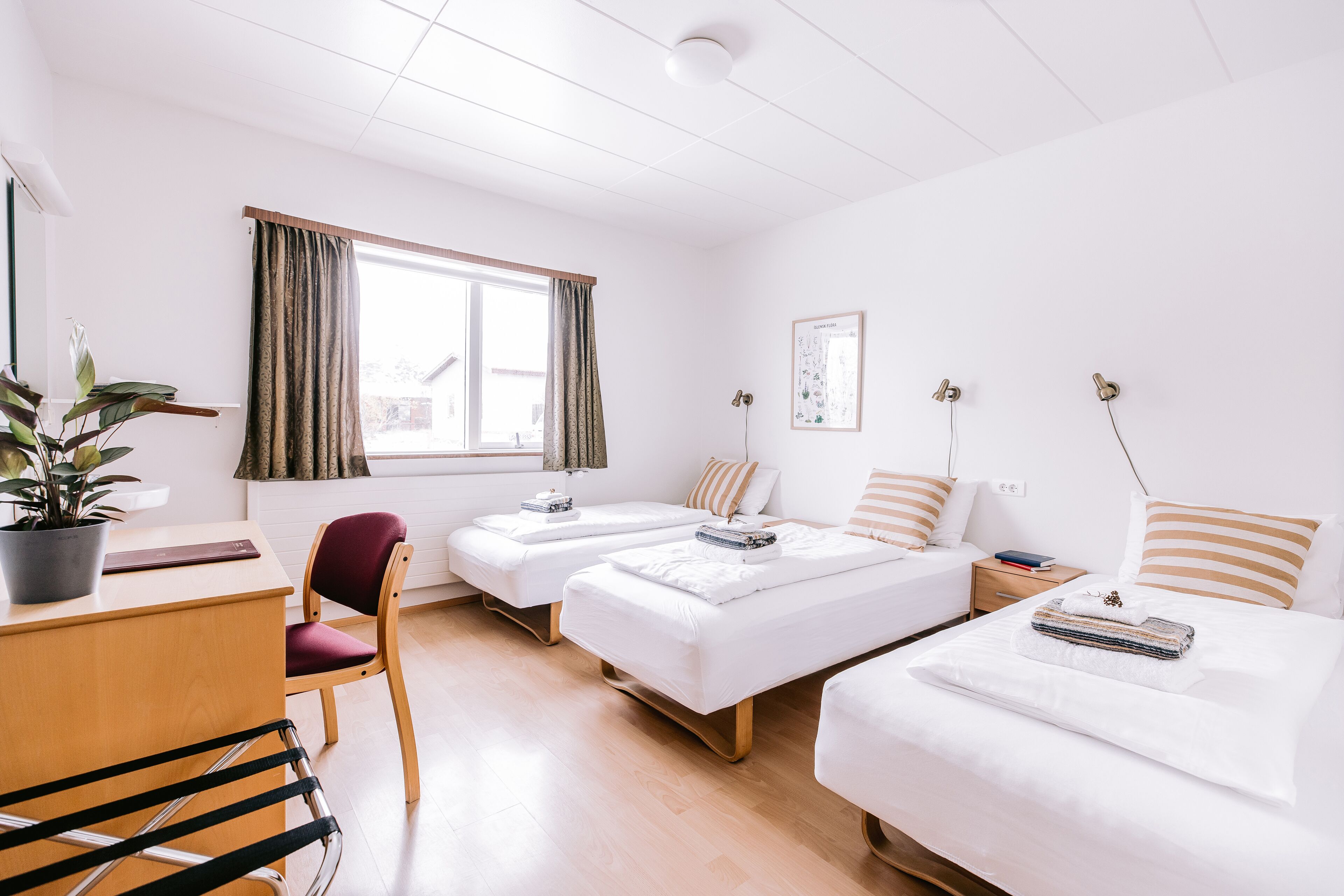 A hotel room with two single beds, a desk, a chair, a potted plant, and a window with curtains.