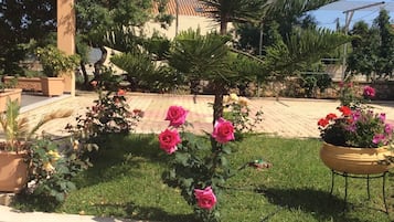 花園