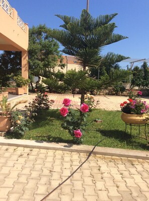 Garden - Mel's Apartments (Kefalonia)